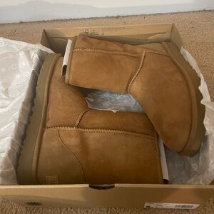 UGG W Classic Short II in Tan